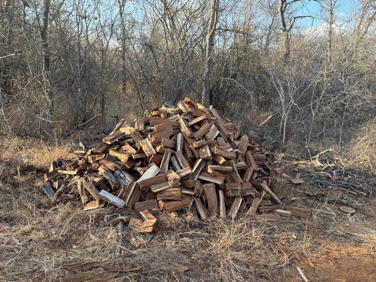 Dry braai wood – Gauteng