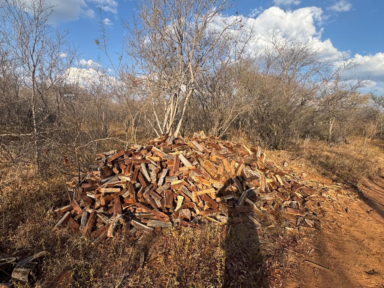 Miwesu firewood quality